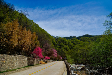 泰山桃花峪风光