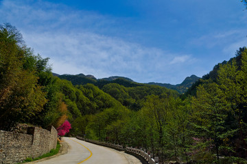 泰山桃花峪风光