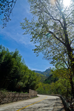 泰山桃花峪风光