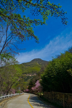 桃花峪风光