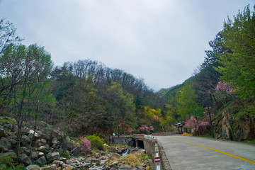 泰山桃花峪风光