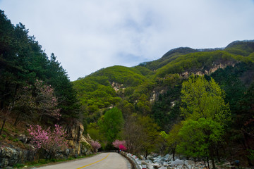 泰山桃花峪风光