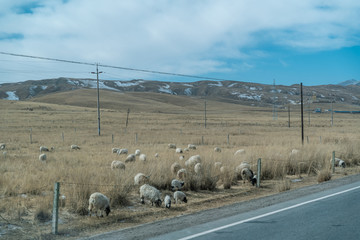 青海公路