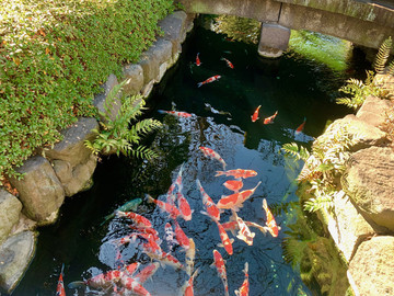 日本东京浅草寺