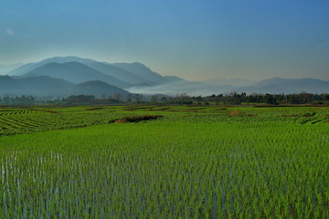 田园与远山