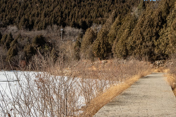 幽静小路