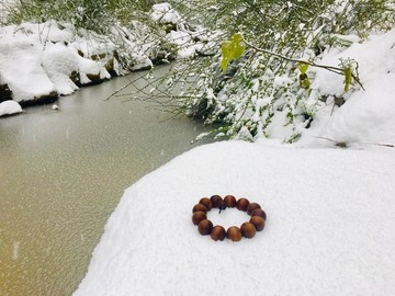 雪中茶道