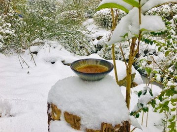 雪中茶道