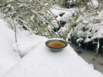 雪中茶道