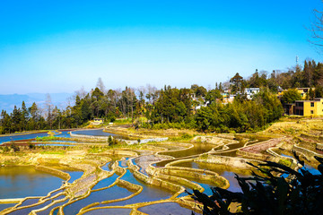 云南红河哈尼梯田