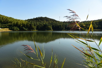 茅山水库