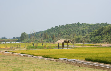 山水田园