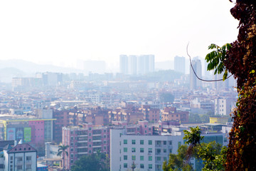 深圳平湖城市风景