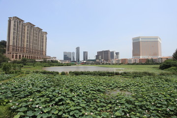 澳门风景