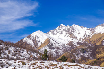 鹧鸪山