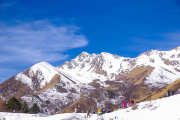 鹧鸪山