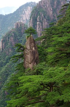 黃山夢筆生花峰