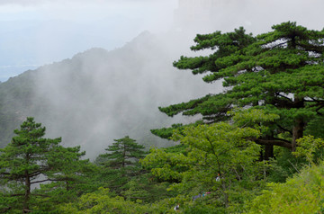 远山云雾