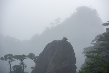 三清山小鸡破壳景点特写