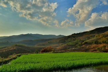 牙胡梯田风光