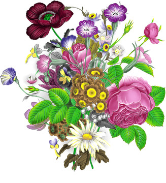 玫瑰花叢