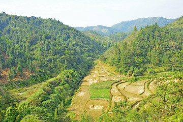 山沟