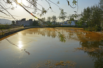 水污染