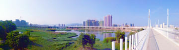 三亚东岸湿地公园风景