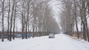 雪路