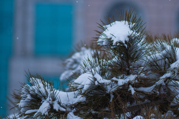 雪景