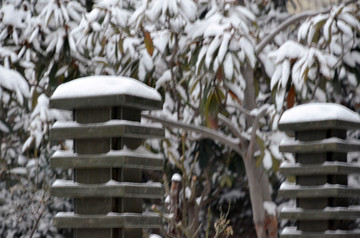 园林景观雪景