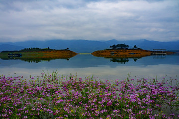 花海湖畔