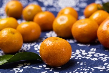 砂糖橘
