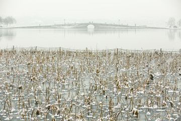 雪湖