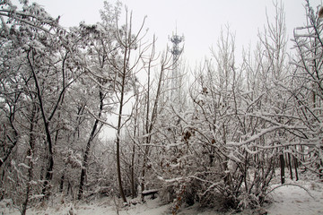 雪