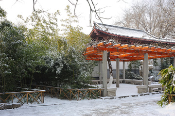 趵突泉公园雪景