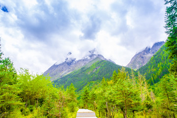 森林群山