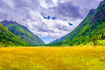 高山牧场