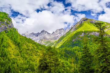 森林群山