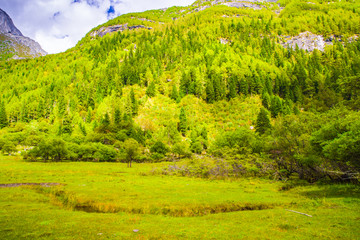 高山牧场