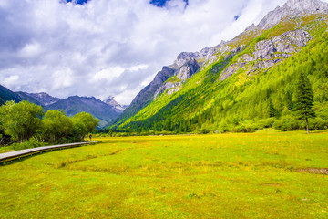 高山牧场