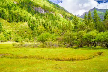 高山牧场