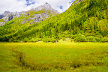 高山牧场