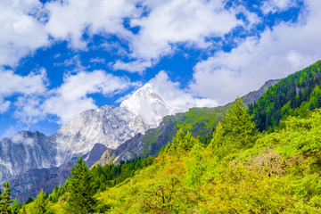 四姑娘山风光