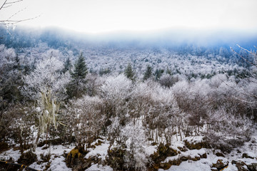 阿坝州理县毕棚沟景区