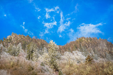 阿坝州理县毕棚沟景区