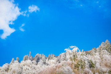 阿坝州理县毕棚沟景区