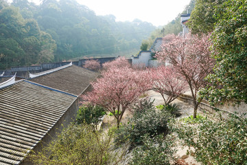 林阳寺