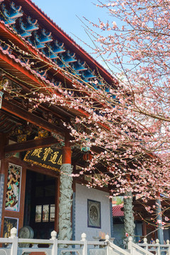 林阳寺