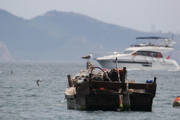 海景海洋捕鱼鱼船渔船渔业